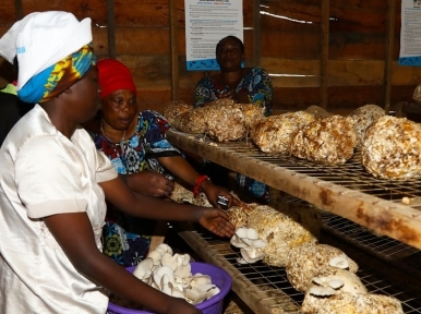 UN Population Fund sounds alarm over dire situation facing women and girls in Syria after 10 years of war